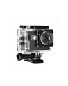 Braun Champion 4K III czarny - nr 2