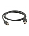 C-Tech Kabel USB C-Tech 2.0 A do B (CBUSB2AB18B) - nr 2