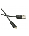 C-Tech Przewód USB 2.0 Lightning (iPhone 5 i wyższe modele) ładowanie i synchronizacja, 1m, czarny CB-APL-10B - nr 1