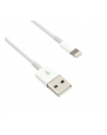 C-Tech Kabel USB C-Tech 2.0 Lightning (CBAPL20W) - nr 1