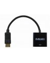 Kabel Evolveo Evolveo DisplayPort - DVI adaptér - nr 1