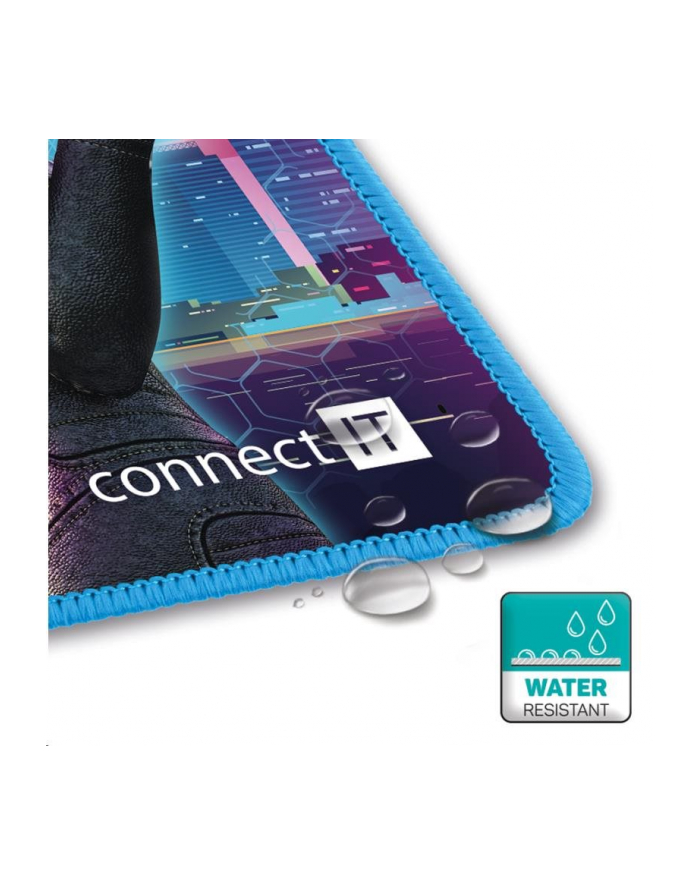 Connect IT Neo, S (CMP-1170-SM) główny