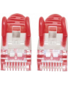 Intellinet Kabel Sieciowy Cat.6 S/STP AWG 28 RJ45 2m Czerwony (735445) - nr 15