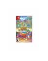 Pokemon Mystery Dungeon Rescue Team Dx (Gra NS) - nr 22
