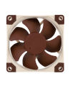 Noctua 80X80X25 (NF-A8 FLX) - nr 10