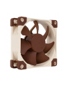 Noctua 80X80X25 (NF-A8 FLX) - nr 12