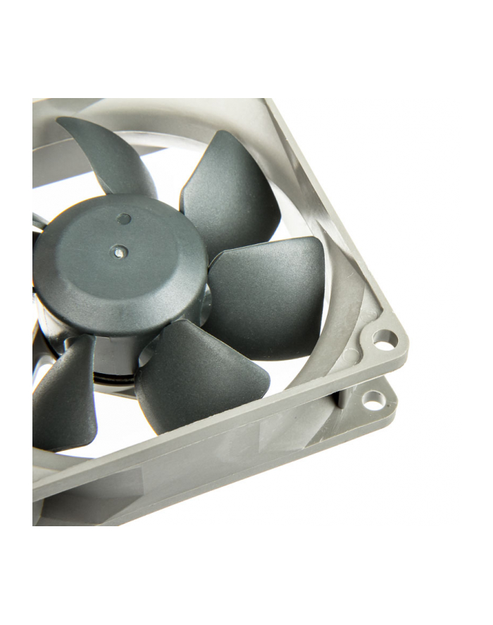 Noctua NF-R8 redux-1800 PWM główny