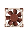 Noctua NF-A4X10 FLX - nr 29