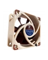 Noctua NF-A6x25-PWM - nr 11