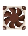 Noctua 80X80X25 (NF-A8 FLX) - nr 21