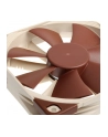 Noctua PWM (NF-F12) - nr 19