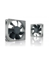 Noctua NF-R8 - nr 13
