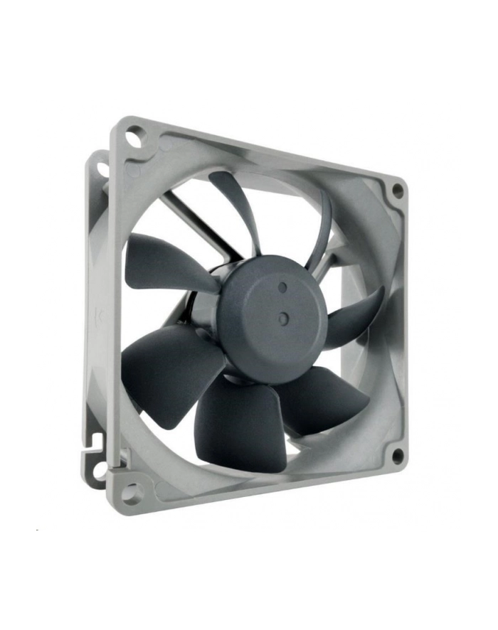 Noctua NF-R8 główny