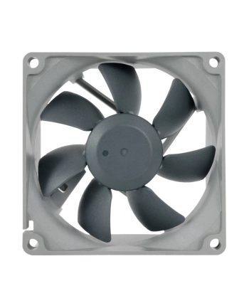 Noctua NF-R8 redux-1800 PWM