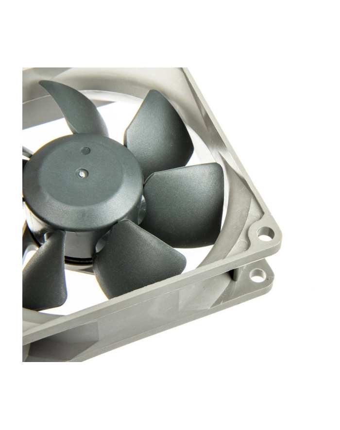 Noctua NF-R8-1800 główny