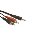 KABEL MINIJACK-2XRCA (CHINCH) M/M 5M - nr 10