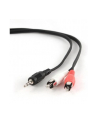 KABEL MINIJACK-2XRCA (CHINCH) M/M 5M - nr 11