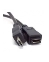 Kabel USB Premiumcord Przedłużeniowy Micro USB  2m (296010320977) - nr 3