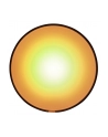 Philips Hue  White and Color Ambiance Go biały 7602031P7 - nr 27