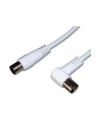 Premiumcord Kabel Antenowy Męski-Żeński Kątowy 75 Ohm 3m biały (Ktmf03U) - nr 3