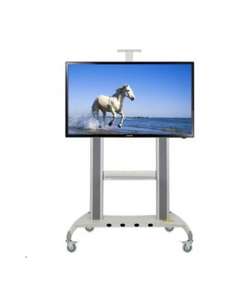AVT1800-100-1P-B - mobilny stojak do telewizora LCD LED 60''-100''