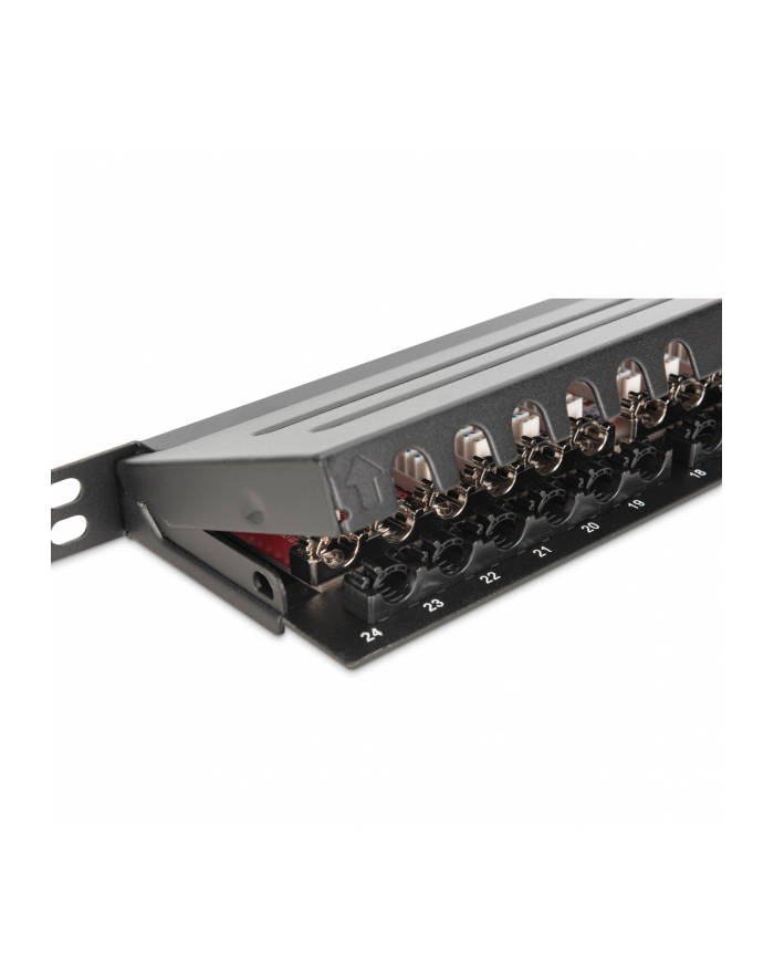 Digitus Professional Patch Panel Ekranowany Rack 19'' 0,5U 24 Portowy Kat. 6A Lsa Kompletny 15 Lat Gwarancji (Dn-91624S-Sl-Ea) główny