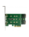 Startech 3-port Adapter Card PEXM2SAT32N1 - nr 20