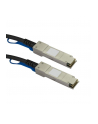 HP J9281B Compatible SFP+ DAC Twinax Cable - 1 m (3.3 ft.) - 10GBase direct attach cable - 1 m - black (J9281BST) - nr 5