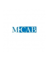 M-Cab Kabel Displayport na DVI (M/M) czarny 1m (7003471) - nr 7
