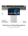 Startech FPCEILPTBLP - nr 21