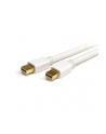Startech Kabel Mini DisplayPort 12 2m (MDPMM2MW) - nr 1