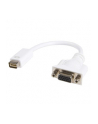 Startech.com Adaptador de Cable Mini DVI a VGA para Macbooks y iMacs (MDVIVGAMF) - nr 1