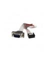 Startech.com DB-9/IDC, M/F, 0.41m (PNL9M16) - nr 13