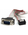 Startech.com DB-9/IDC, M/F, 0.41m (PNL9M16) - nr 16