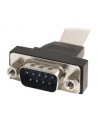 Startech.com DB-9/IDC, M/F, 0.41m (PNL9M16) - nr 21