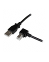 Startech Kabel USB A na Prawe USB B(kątowe) (USBAB2MR) - nr 1