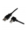 Startech Kabel USB A na Prawe USB B(kątowe) (USBAB2MR) - nr 7