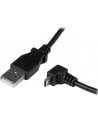 Startech Kabel USB A - Down Angle Micro B 2m (USBAUB2MD) - nr 20