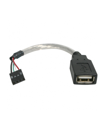 Startech.com 6'' USB A Female to Motherboard Header Adapter (USBMBADAPT)