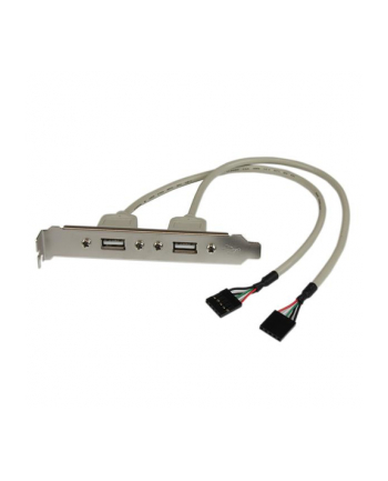 Startech.com 2-Outlet USB Plate (USBPLATE)