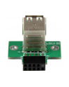 Startech.com 2 Port USB Motherboard Header Adapter (USBMBADAPT2) - nr 6