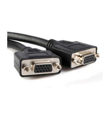 Startech.com 8 inch DMS-59 - 2 VGA ''Y'' Cable (DMSVGAVGA1)