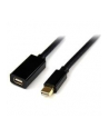 Startech.com Startech Mini DP Video Extension Cable 90cm - M/F (MDPEXT3) - nr 10