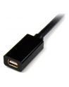 Startech.com Startech Mini DP Video Extension Cable 90cm - M/F (MDPEXT3) - nr 11
