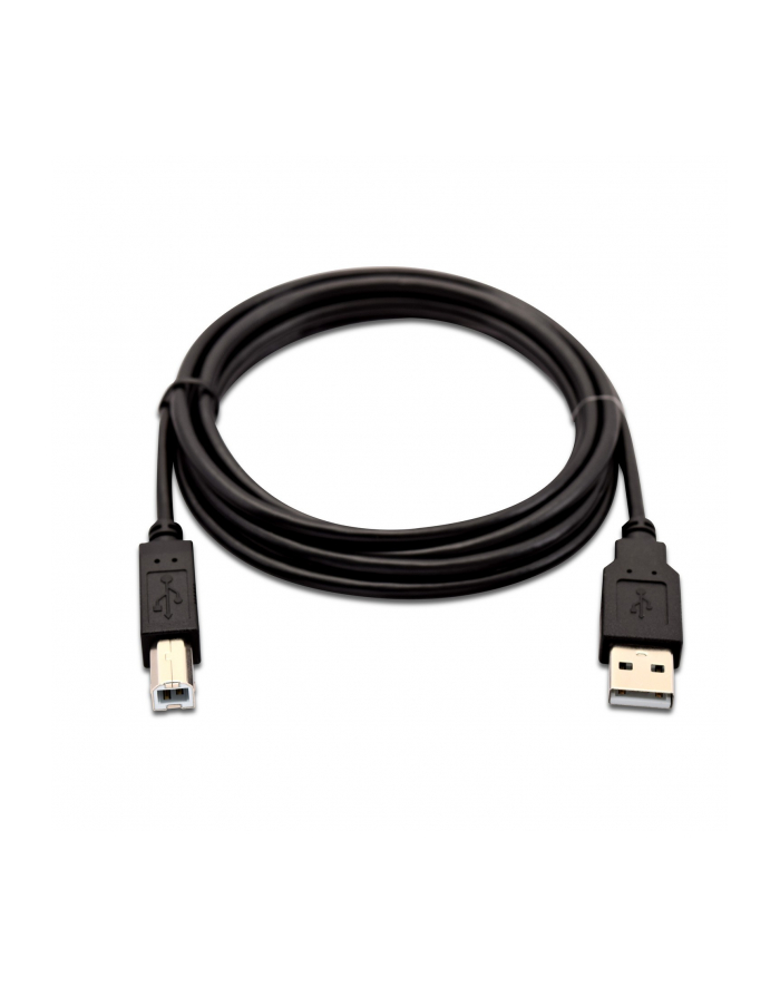 V7 USB cable - 2 cm (V7USB2AB02M1E) główny