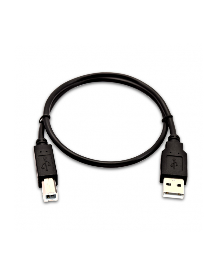 V7 USB cable - 50 cm (V7USB2AB50C1E) główny