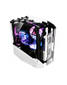 Antec STRIKER (0-761345-80032-7) - nr 147