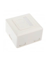 InLine Gniazdo natynkowe sieciowe 2x RJ45 Cat.6 iałe poziome (75602J) - nr 14