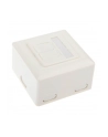 InLine Gniazdo natynkowe sieciowe 2x RJ45 Cat.6 iałe poziome (75602J) - nr 5