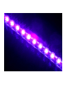 Lamptron FlexLight Standard - 24 LEDs - UV (MOLT-087) - nr 2